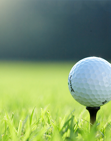 2026년 연간단체 모집 안내
